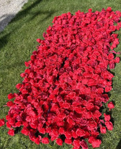 3D Flower Wall Panel Red Rose Backdrop Photo Float Wedding Party 98” x 48” - $1,500.00