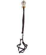 Small Breed Dog Leash with Adjustable Harness Pink - $56.79 MXN