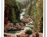 Ammonosuc River Bretton Woods White Mountains NH Detroit Publishing Post... - £2.80 GBP