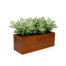 Catleza 3-Liner Self-Watering Rectangle Planter Box - Dark Wood - £52.18 GBP