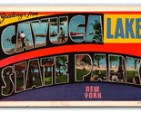 Grande Lettera Greetings From Cayuga Lago Stato Park New York Lino Carto... - £3.19 GBP
