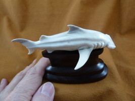 Shark-20 medium white Hammerhead Shark display shed antler figurine Bali carving - £45.65 GBP