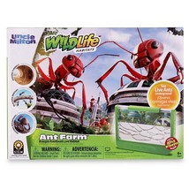 Ant Farm Antopia Rainforest Ant Habitat - Observe Live Ants - Nature Lea... - £28.73 GBP