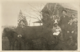 Old Photograph 5x7 Family w/Oxen in Bunker Hill, WV Child Holding Doll - £5.91 GBP