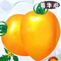 HOT NEW BELLFARM Tomato Yellow &#39;Beef Heart&#39; Organic Vegetable Seeds, 200 seeds,  - $6.29