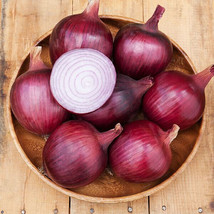 500 Redwing Onion Seeds for Garden Planting  - $8.47