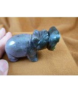 Y-HIP-737) Purple green jasper roaring HIPPO Hippopotamus Gemstone figurine - $23.36