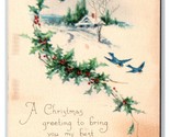 Christmas Winter Landscape Cabin Bluebirds Unused Gibson Lines DB Postca... - $3.91