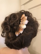 Graduated Dog Conch Shell French Hair Comb,Decorative Shells,Hawaiian Wear,Shell - £45.68 GBP