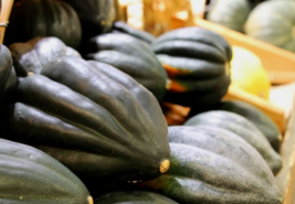 50 Pc Seeds Table King Squash Vegetable, Cucurbita Maxima Seeds for Plan... - £13.14 GBP