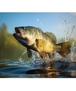 36&quot; X 44&quot; Panel Wildlife Fish Perch Lakes Water Multicolor Cotton Fabric... - $292.49 MXN