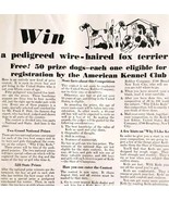 1930 Keds Shoes Sneakers Wire Haired Fox Terrier Advertisement Dogs Priz... - $29.99