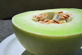 Grow Honey Dew Melon Seed Green Sweet Heirloom Non Gmo 100 Seeds Mellon - £7.46 GBP