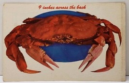 Pacific Deep Sea Giant Crab Calif to East New Market Dover Md Postcard E17 - $9.99