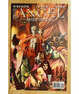 Angel After The Fall Issue #2 Comic Book IDW Publishing Franco Urru Spik... - $9.89