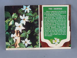 Vintage Postcard - The Legend of the Dogwood - Wright Everytime - $15.00