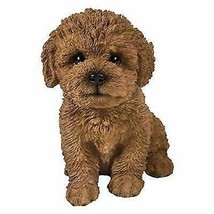 Sitting Realistic Brown Bichon Frise Puppy Dog With Glass Eyes Statue 6.... - $28.99