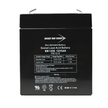Bright Way Group BW 1250 F1 (0124) BWG 1250 F1 Battery - £40.21 GBP