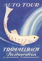 Auto Tour Trummelbach by Anton Trieb - Art Print - £17.30 GBP+
