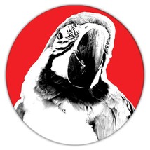Macaw Sepia Black &amp; White : Gift Coaster Parrot Bird Animal Cute - £3.94 GBP