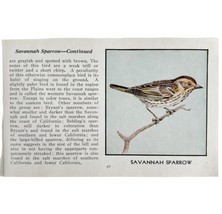Savannah Sparrow Bird Print 1931 Blue Book Birds Of America Antique Art ... - £15.97 GBP