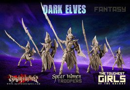 Raging Heroes Dark Elves Spearwomen Troops Female Warriors 28mm - £44.47 GBP