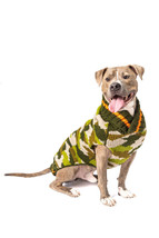 CAMO Dog Sweater Camoflauge Chilly Dog Hand Knit Wool  XXS-XXXL Puppy Pet - £24.43 GBP+