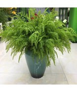 18.5“ length Artificial fern plant,Artificial Bush Indoor Outdoor Greene... - $8.19 CAD