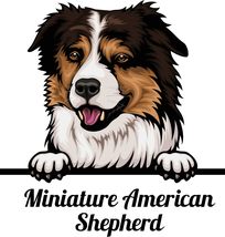 Miniature American Shepherd Peeking Vinyl Decal Sticker UV &amp; Water Proof... - $109.41 MXN