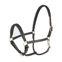 Horse Riding Leather Halter English Western Tack Horze  Largo 927H01BRC - £46.24 GBP