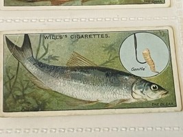 WD HO Wills Cigarettes Tobacco Trading Card 1910 Fish Bait Lure Bleak #2... - $19.69