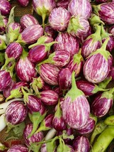 Eggplant Rosa Bianica 100 Seeds - $8.98