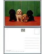 DOG Postcard - 4 Cutie Puppies D20 - £2.33 GBP