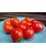 Pomodorini di Sardegna Tomato - authentic Greek tomato for salads and sa... - $5.95