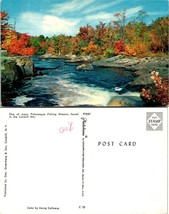 New York(NY) Catskill Mountains Fishing Stream &amp; Autumn Trees Fall VTG Postcard - £7.35 GBP