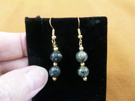 DP1-28-11 Real Dinosaur Poop 2 Bead Earrings Dangle Utah Dino Coprolite Fossil - £14.15 GBP