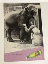 1985 Mountain Dew Elephant Vintage Print Ad Advertisement  PA4 - £6.15 GBP