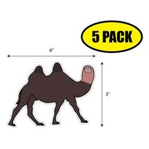 5 PACK 4"x3" CAMEL TOE Sticker Decal Humor Funny Gift VG0108 - $6.53