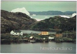 Postcard Historic Iceberg Salt Harbour Herring Neck Newfoundland &amp; Labrador - £2.83 GBP
