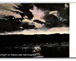 Moonlight On Owasco Lago Park Ramati New York Ny Unp DB Cartolina N23 - £4.49 GBP