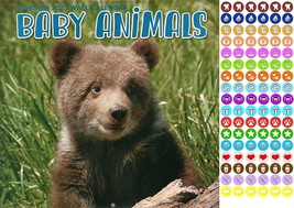 Baby Animals - 16 Month 2020 Wall Calendar  - with 100 Reminder Stickers - $9.89