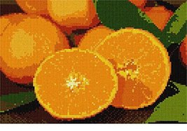 Pepita Needlepoint kit: Navel Oranges, 10&quot; x 7&quot; - $50.00+