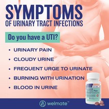 WELMATE Urinary Pain Relief | UTI Relief | Fast Acting | Bladder Discomfort &amp; Pa - $28.95