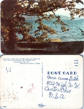 New York Canandaigua Lake View Menteth Point White Oak Tree VTG Postcard - £7.34 GBP