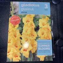 Holland Jester Yellow Gladiolus Bulbs 3 bulbs - $4.95