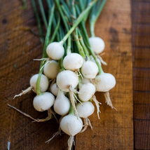 Crystal White Wax Pearl Onion 150 - 2000 Seeds Pickling Cocktails High Yields!  - $1.67+