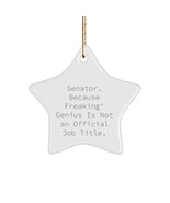 Gifts for Senator, Funny Star Ornament, Senator Christmas Unique Gifts f... - £15.09 GBP