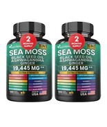Sea Moss, Black Seed Oil, Ashwagandha, Turmeric, Ginger (16 in 1) 2 Bott... - $57.53 CAD