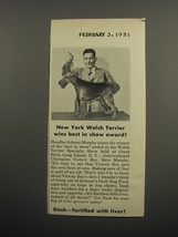 1951 Armour Dash Dog Food Ad - New York Welsh Terrier wins best in show award - £14.45 GBP