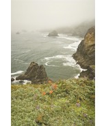 Tom Adams Photography Beach From Indian Sands Oregon Matted Photo Art 16x20 - £42.81 GBP